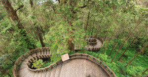 力麗觀光旅展限定優惠！3,300元一券暢遊日月潭與宜蘭山林、滿額再送泡湯體驗。