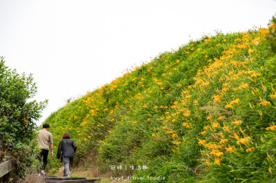 台東太麻里金針花季賞花攻略，搭乘太麻里賞花專車，悠遊太麻里金針花季賞花路線，每年暑假限定的太麻里旅遊景點 – 冠婷生活趣