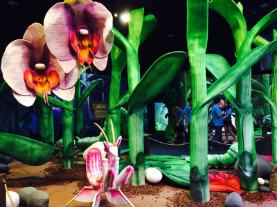 【得獎公告】FUN大森林的冒險旅程 正式啟程！你準備好展開一場大冒險了嗎？