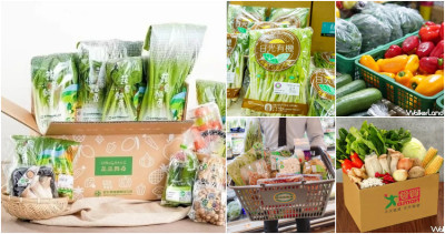 不要成為防疫破口！在家線上訂「73個蔬菜箱、防疫物資箱」販售通路總整理，99元蔬菜箱、超過25個傳統市場LINE群外送連結一次收。