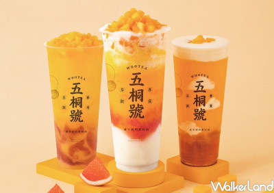 挑戰楊枝甘露排行榜！五桐號「最完美楊枝甘露」領軍3大品牌芒果手搖杯，拾覺「火龍果楊枝甘露」讓芒果控IG先打卡。