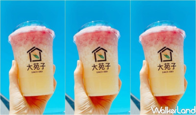 大苑子荔枝大洗版！大苑子「荔枝玫瑰」荔枝飲品系列8/2強勢回歸，夢幻新品「荔枝艾波、玫瑰鮮奶酪」同步挑戰IG打卡新歡。