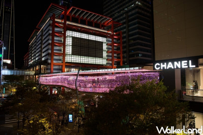 網美必拍耶誕步道！台北市政府打造信義區最美耶誕步道，「台北101」空橋一路拍到「市府捷運站」，搶攻2021耶誕IG必拍場景。