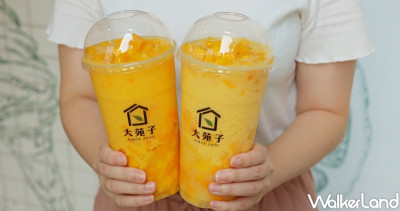 一公升「愛文芒果冰沙」有夠狂！大苑子1000ml「愛文芒果冰沙最大杯」打造最狂芒果季，大容量愛文芒果冰沙、愛文翡翠讓芒果控搶先喝。