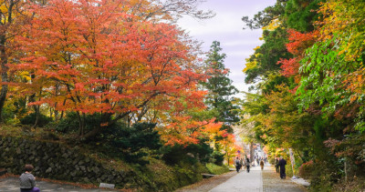 玩日本不用人擠人！隱藏版秘境「日本鳥取旅遊攻略」免費收藏，必拍日本遺產「大山寺秋葉」、台幣300元有找「紅楚蟹」先做功課。