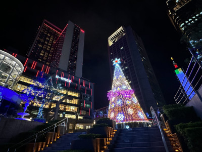 必拍耶誕樹再加1！統一時代百貨打造13米高的「Purple wish聖誕樹」搶攻網美必拍耶誕景點，再加碼公開高雄夢時代愛Sharing聖誕主題裝置。