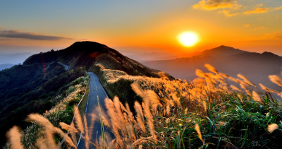 來去九份當網美！新北瑞芳「3大芒花步道」360度無死角、10分鐘攻頂攻略要知道，雪白芒花海、連綿山丘、無敵海景一次拍到超滿足。