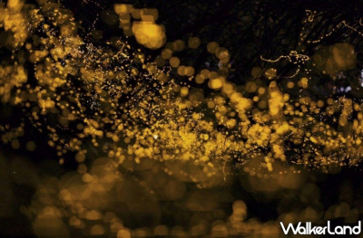 親子賞螢行程來了！捷絲旅宜蘭礁溪館、礁溪晶泉丰旅聯手推出「礁溪秘境夏夜螢河季」免費生態賞螢行程，再加碼送夜宵每人1700元起。