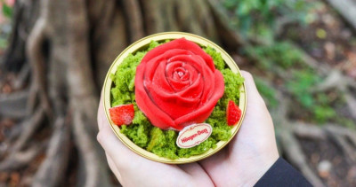 哈根達斯耶誕節玫瑰冰淇淋！哈根達斯「掌心玫瑰」玫瑰冰淇淋蛋糕開賣，耶誕節愛心玫瑰打卡點、浪漫玫瑰蛋糕要打卡。