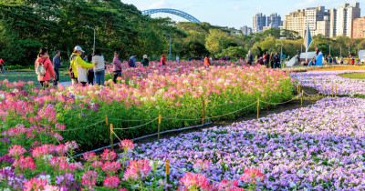 搭捷運拍免費花海！古亭賞花秘境10萬盆花海 夜間點燈，絕美必拍。
