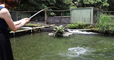 宜蘭釣魚餐廳推薦！苦花大王 現釣現吃的鮮魚料理、假日請先預約，新手也能上手。