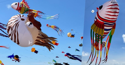 北海岸「2025石門國際風箏節」懶人包！集章闖關兌換1500份限定好禮、親子馬戲團與富基漁港美食優惠等你來體驗。