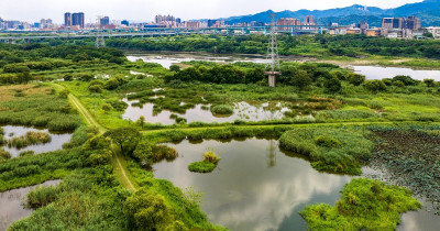 新北綠色旅遊攻略！坪林、三峽、雙溪3條秘境路線，週末就出發體驗最真實的在地文化。