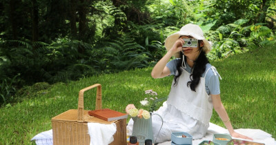 老派浪漫回歸薰衣草森林！免費入園、森林野餐套票與限定甜點打造Z世代最療癒浪漫行程。