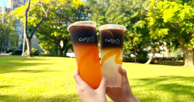 11月CoCo買一送一清單！CoCo最划算優惠整理，日焙珍奶買一送一 粉角奶茶買一送一。