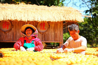 【秋季限定】秋天甜蜜的陽光滋味 黃橙橙曬柿餅囉！