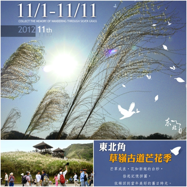 翻滾吧！微醺芒花遍遍開滿草嶺古道囉！