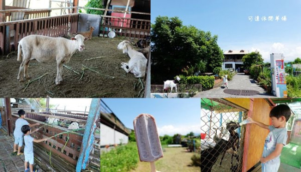 宜蘭免費親子農場 ▶ 可達休閒羊場 ▶ 免門票入園! 100元套票就能餵小羊喝奶及各種小動物,還有飲料或雪花冰、棉花糖DIY 宜蘭員山景點!