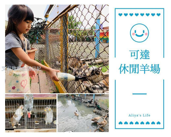 宜蘭員山可達休閒羊場｜免入場門票親子旅遊去處｜銅板價可餵小羊喝奶