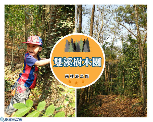 【遊記】高雄美濃_雙溪樹木園@吸收滿滿的綠色能量 愛上熱帶樹種的別緻魅力