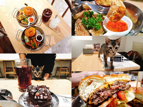 【台北中山】Take Out | 濃郁花生醬起司手工漢堡！可愛貓咪餐廳美式餐廳推薦