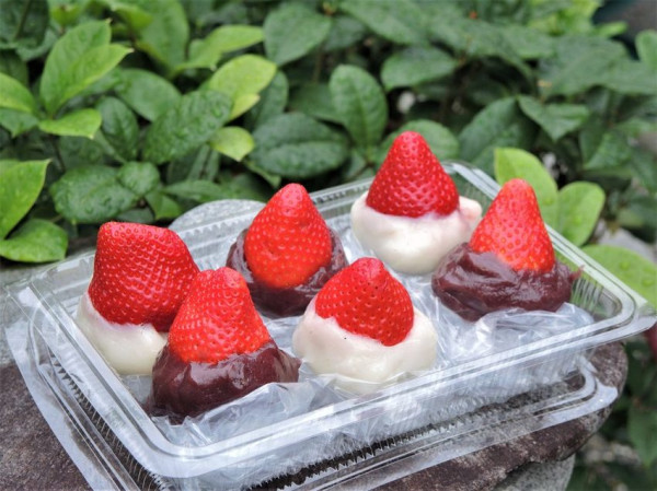 遼寧黑麻糬｜草莓大福超人氣IG打卡甜點！招牌花生糖麻糬一試成主顧！遼寧夜市低調傳統台灣小吃！台北麻糬推薦、台北甜點推薦、台北小吃推薦、台北傳統美食、遼寧夜市美食推薦