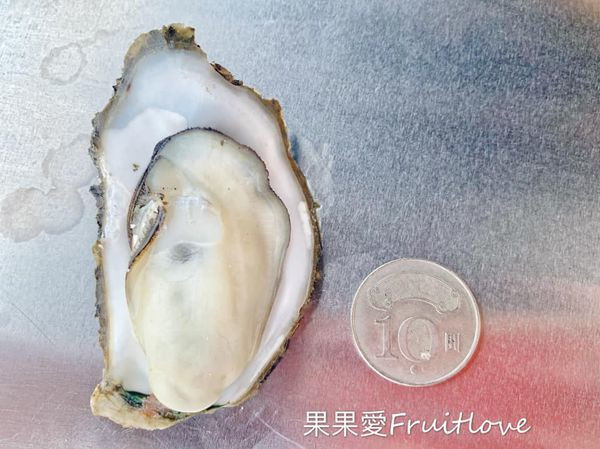 一大盤只要１００元　鮮甜肥美　不沾醬就好好吃　布袋烤鮮蚵　親子寵物友善