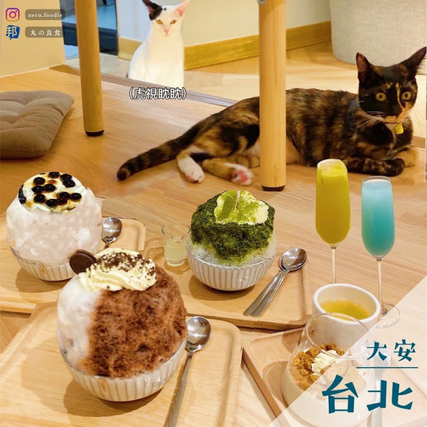 貓狗冰室｜大安療癒冰品兼貓貓天地推薦 @neru.foodie / 丸の良食