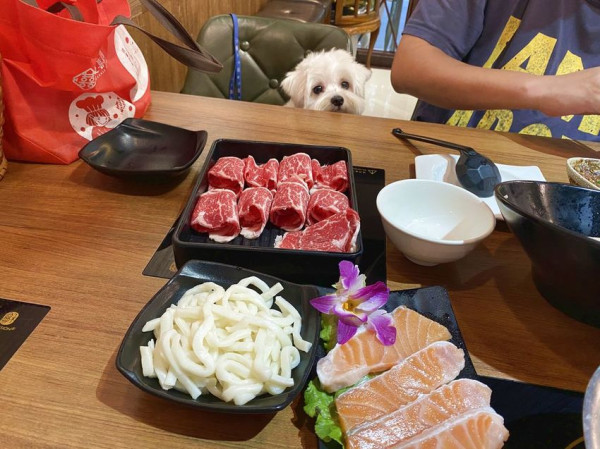 【台北信義區-大毛屋涮涮鍋】寵物無敵友善餐廳、狗狗能一起用餐好幸福。