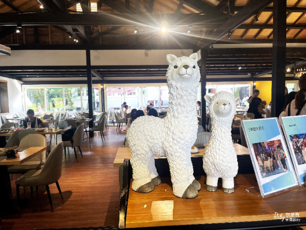 【台北陽明山餐廳】大衛小小羊，陽明山超人氣羊駝特色餐廳可近距離接觸與餵食和拍照，大小朋友都愛的無法抗拒的魅力的親子景點-附菜單