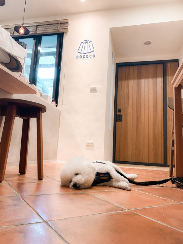 宜蘭｜逗可可：甜點研究室 DOCOCO Dessert｜必訪老宅咖啡廳｜寵物友善咖啡廳