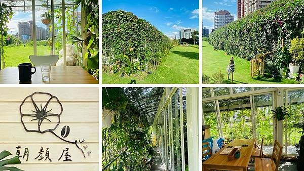 桃園森林系咖啡館【朝顏屋 3.2K】佈滿藤蔓綠意的浪漫玻璃屋/桃林鐵路最佳中憩站/桃園CP值高景觀咖啡廳