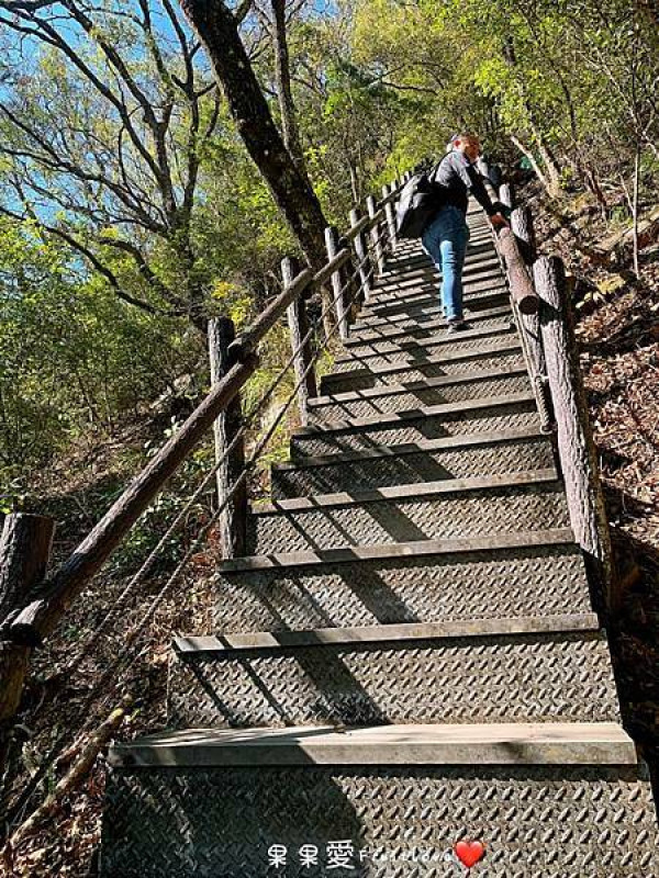 可以從高處欣賞谷關的美景　捎來步道　　有陡坡需要一些腳力　　親子寵物友善　不限大小　最少要牽繩