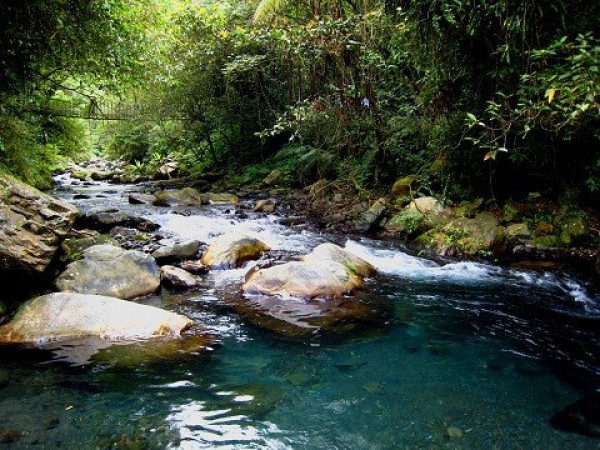 探訪山林秘境~~~九寮溪生態園區