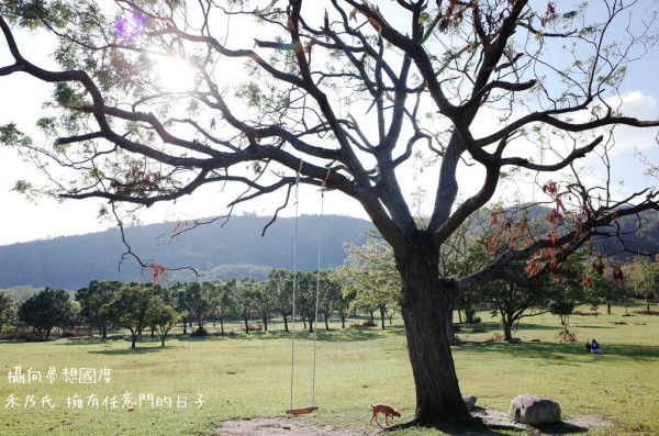 【台東TAITUNG－卑南文化公園Beinan Cultural Park】禾乃氏－擁有任意門的日子：來台東玩吧！漫步遼闊大草原、溜狗、野餐，吸收陽光芬多精