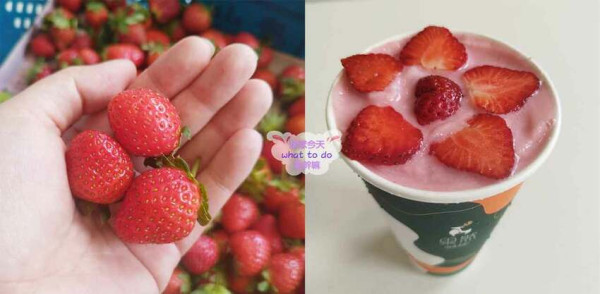 台中市北屯區果然鮮果茶飲-以黃金比例結合新鮮水果和茶飲，喝到天然鮮果滋味