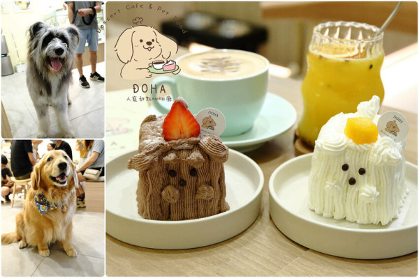 三峽北大寵物友善咖啡廳，Doha人寵甜點咖啡廳，IG爆紅創意超萌甜點，店狗可愛黃金獵犬