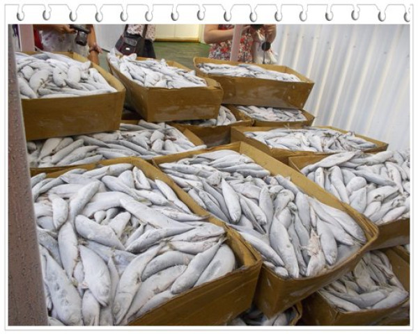 金車生技水產養殖研發中心