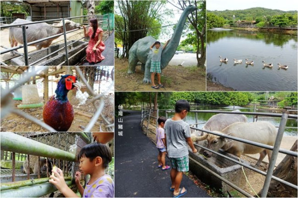 新北親子農場美食 ▶ 台灣山豬城 ▶ 免費入園餵食小動物 小型動物園、平價大份量餐點 十人份合菜3300元 新北家庭聚餐、免費遛小孩必來!