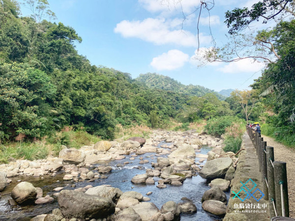 苗栗秘境│蓬萊溪賞魚步道，清澈的河流賞你綠蔭盎然的沁涼！