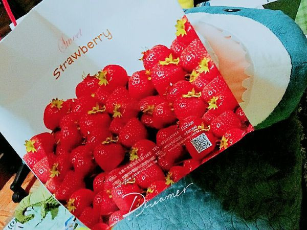 【桃園中壢】🍦佳樂蛋糕🐤🍳 草莓波士頓🍓🌲*🚸季節限定