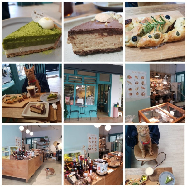 【新北.三芝】對味生活寵物友善咖啡廳。推麵包+花生乳酪塔+手沖德國咖啡豆
