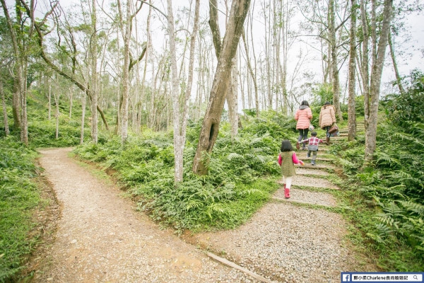【宜蘭三星】拳頭姆步道／拳頭姆自然步道 - 老少閑宜，健行爬山輕鬆簡單，一小時可走完，適合親子同行的清靜小步道