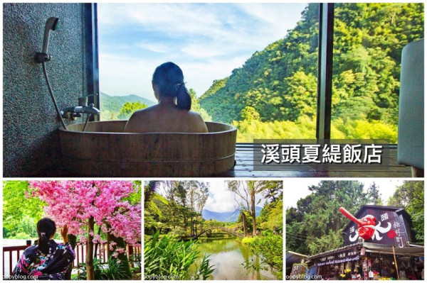 溪頭夏緹飯店～手工餅乾DIY、SWITCH遊戲免費玩、溪頭生態導覽，享受一泊三食森林假期