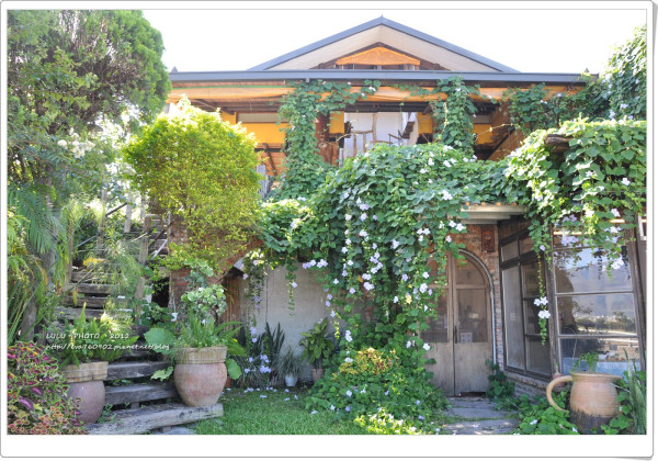 【田野的飛翔‧宿】棲息在豐碩中‧莊稼熟了