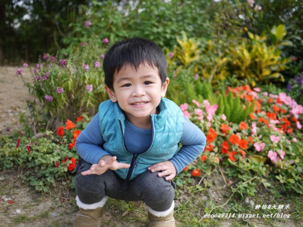 【桃園大溪】美味好吃の景觀餐廳♥TINA廚房 適合親子同遊唷♥