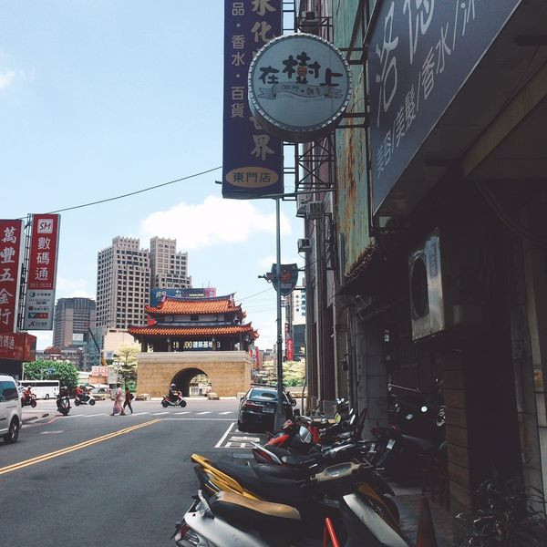 新竹東區｜在樹上