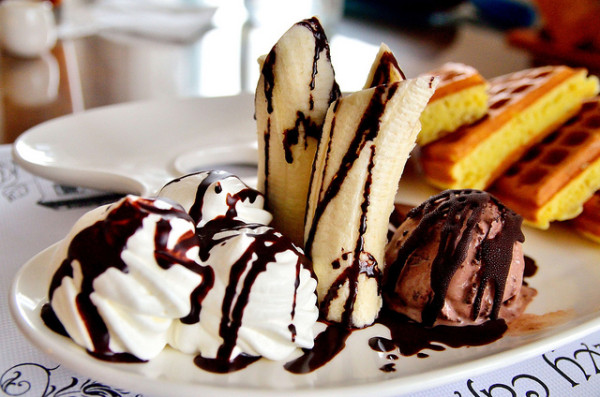 {桃園} 歐式鄉村風～毛小孩也能來～Honey Cafe