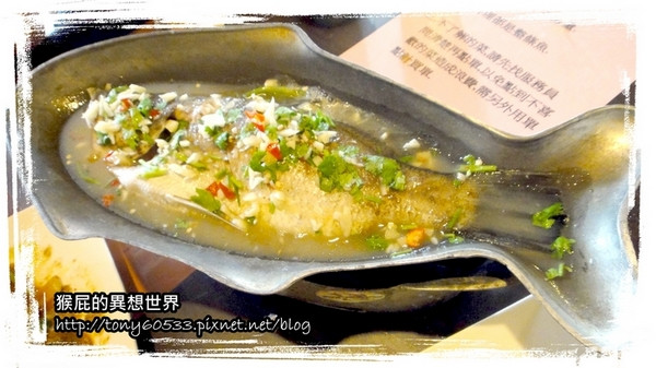 【台中吃到飽】台中第一間泰式料理吃到飽！規距一堆堆之〞泰北料理〞！