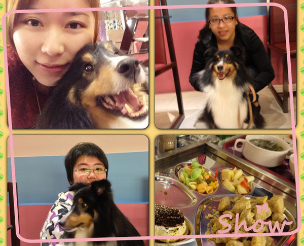 【派特芙德寵物餐廳】貴族狗都去哪裡?!